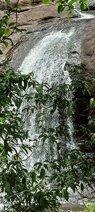 4 Acre Woods Farm Stay Munnar Exteriér fotografie