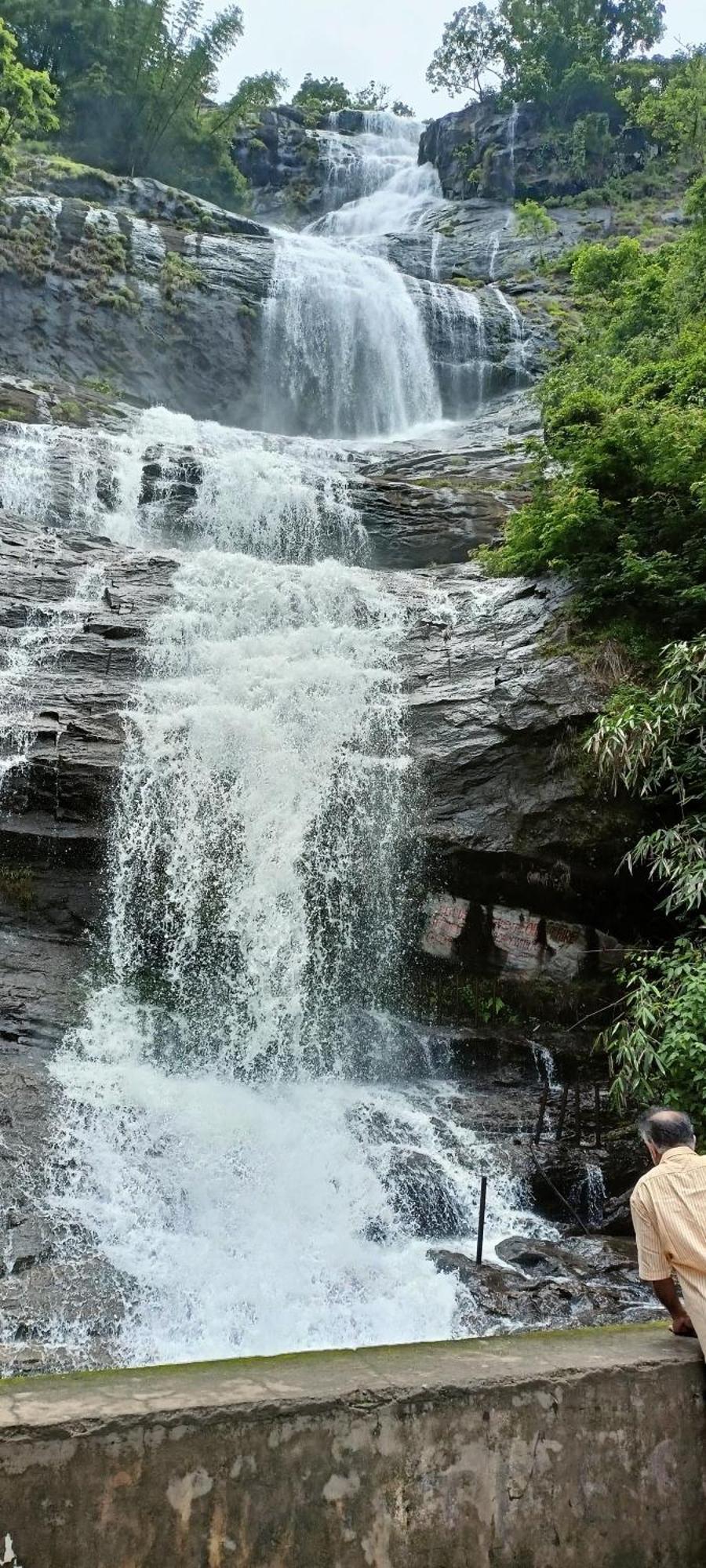 4 Acre Woods Farm Stay Munnar Pokoj fotografie